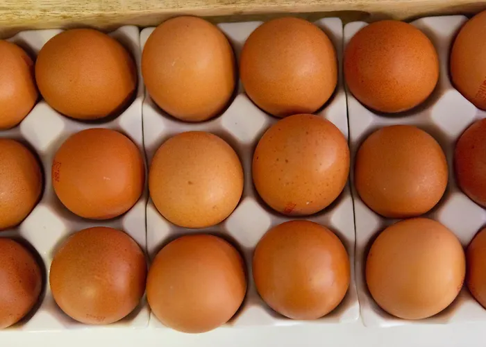 Maria 3* 시르미오네